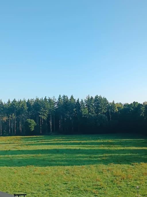 Gemuetliches Appartement Im Kottenforst Naehe Bonn Meckenheim  Exteriér fotografie